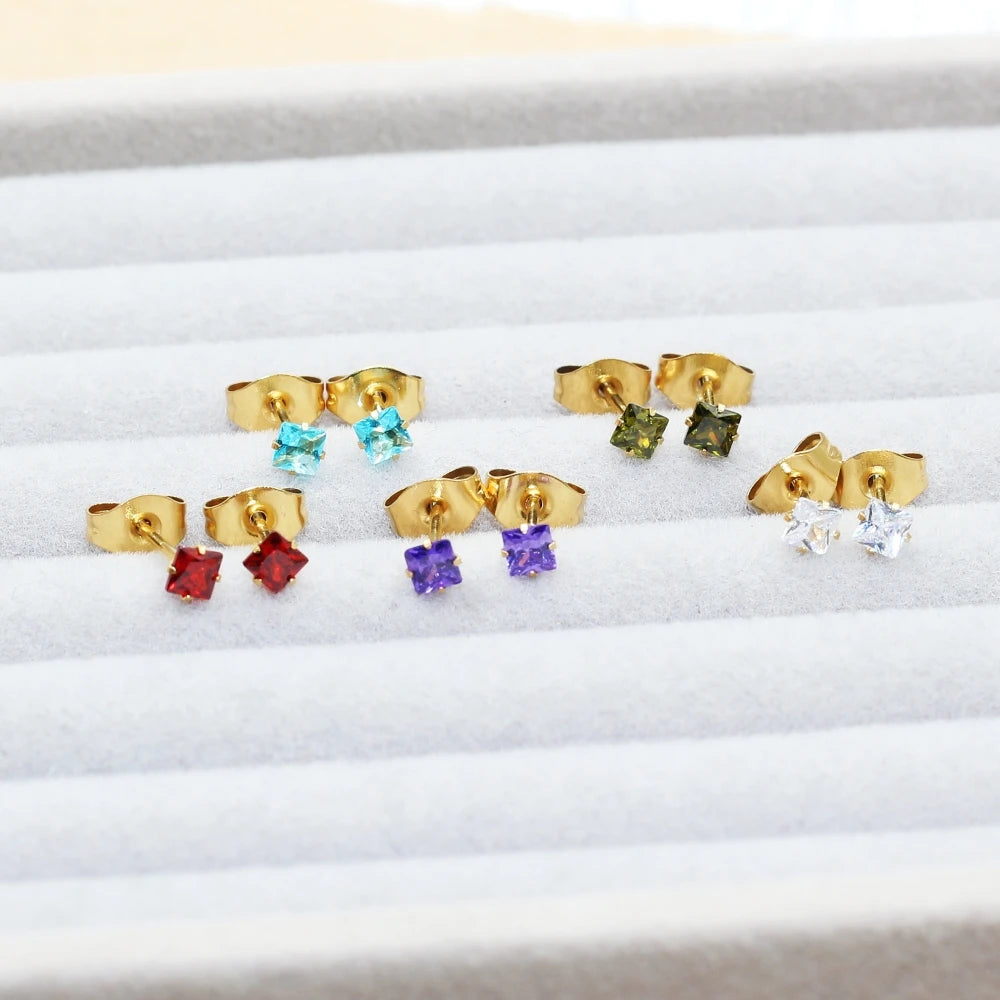 tainless Steel Stud Earrings
